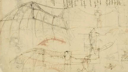 Léonard de Vinci est de retour au château du Clos Lucé à Amboise avec un dessin original inspiré par une chauve-souris