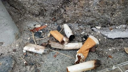 Entre recyclage et business, comment lutter contre la pollution liée aux mégots de cigarettes