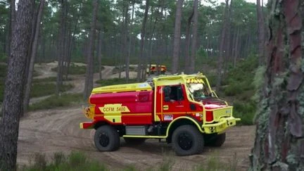 Risque d'incendies de forêt : les pompiers de Gironde se préparent pour l'été