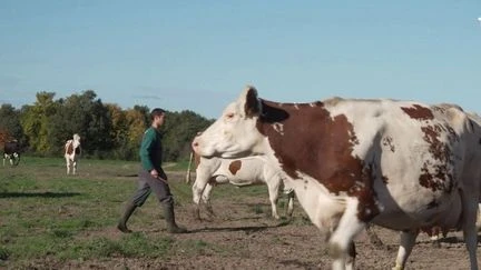 Jeunes éleveurs : élever, cultiver, transmettre, la nouvelle génération reprend le flambeau
