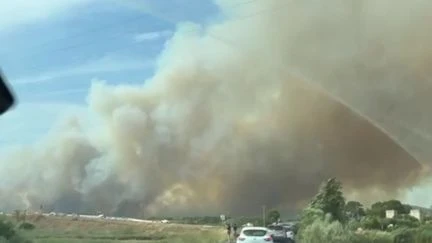 Incendies : dans l’Aude et l’Hérault, deux feux monumentaux ont tout ravagé sur leur passage