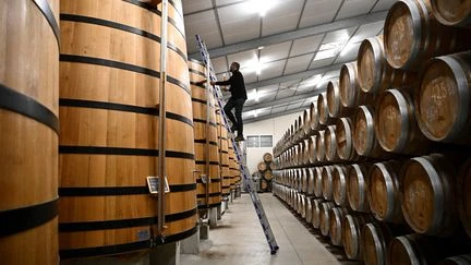 Taxes douanières : les ventes de cognac en baisse de 38% sur les quatre derniers mois par rapport à 2024