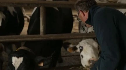 Supermarchés : produits étrangers et substances interdites, les agriculteurs sonnent l’alerte