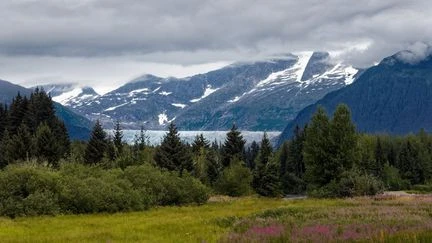 L'administration Trump autorise l'exploitation de 24 millions d'hectares de forêts intactes aux Etats-Unis, les associations dénoncent 
