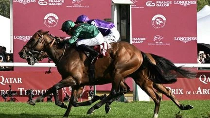 Hippisme : le pur-sang français Daryz, monté par Mickaël Barzalona, s'impose au Prix de l'Arc de Triomphe