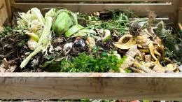 Le billet sciences du week-end. Comment offrir une seconde vie à nos déchets organiques ?