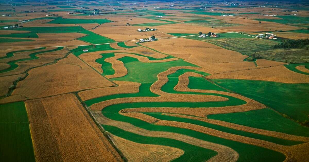 US-Farmer machen viel Geld mit Zimmervermieten über Airbnb