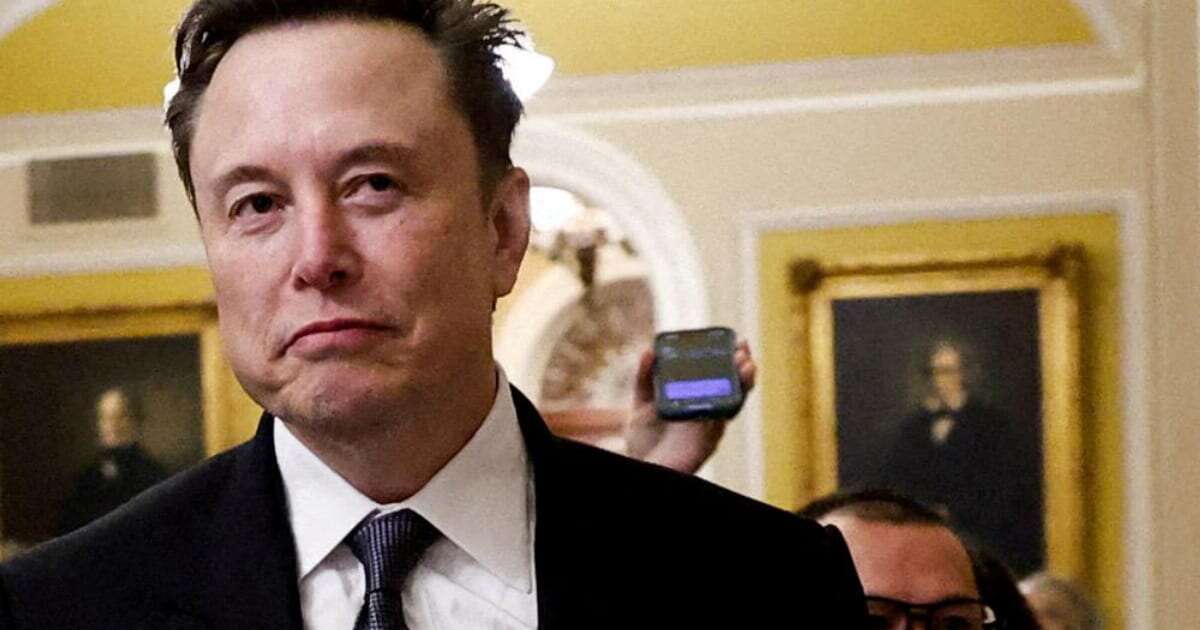 „Musk sagt, was Trump denkt!“ Deutschlands riesige Angst vor der Macht des Tech-Giganten