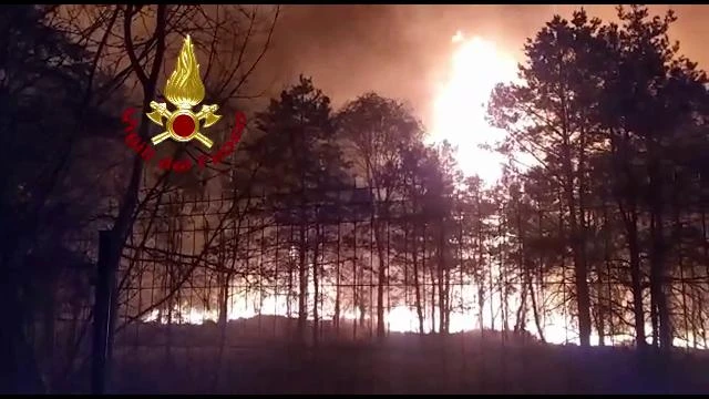 Enorme incendio al parco delle Groane, brucia il bosco: 