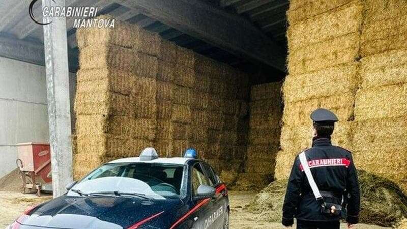 Schiacciato da una rotoballa mentre è a lavoro in un’azienda agricola: morto 27enne a Marcaria