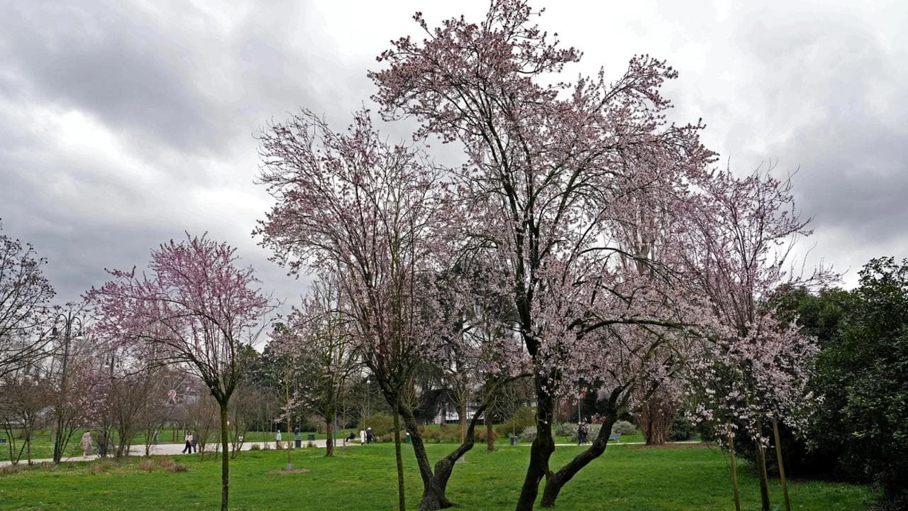 Allerta gialla a Milano domenica 4 maggio: dal pomeriggio rischio temporali, maltempo in settimana