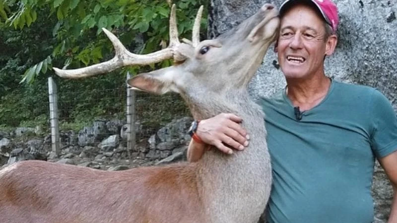 Addio al cervo Bambi: dalla sua amicizia con gli umani è nata un'oasi faunistica in Valmalenco