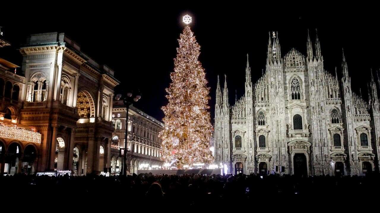 Illuminato in piazza Duomo l’albero delle Olimpiadi 2026: alto 28 metri, illuminato da centomila microled