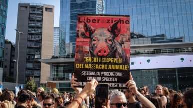 Migliaia di animalisti in corteo per protestare contro l'uccisione dei maiali del rifugio di Zinasco: “Mai più santuari violati”