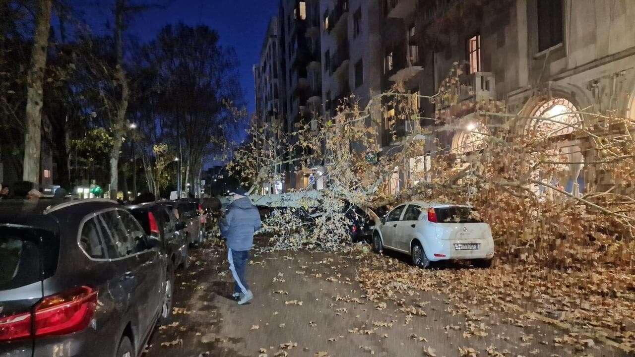 Vento forte a Milano, in zona Solari cade un albero sulle auto parcheggiate. Disagi per il traffico