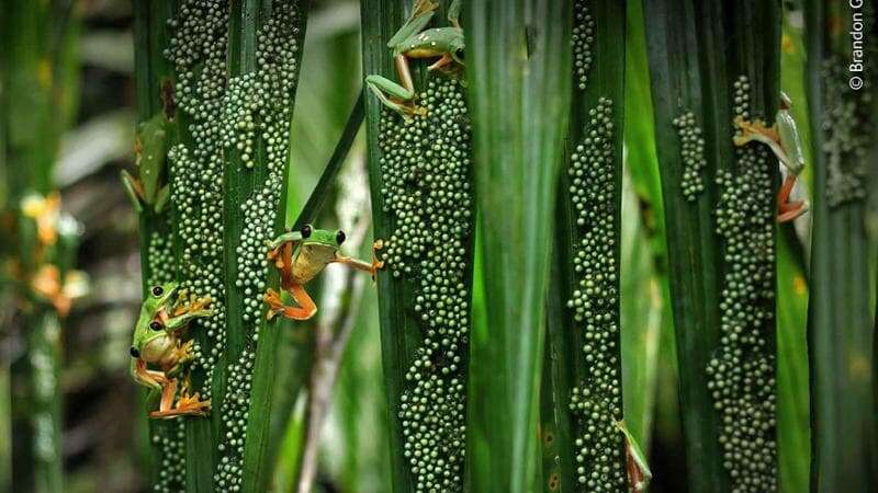 All’Hangar21 la mostra di fotografia naturalistica più prestigiosa del mondo