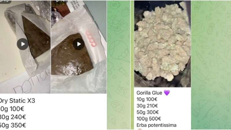 Spacciavano cocaina e hashish attraverso social e canali Telegram: 7 persone in carcere