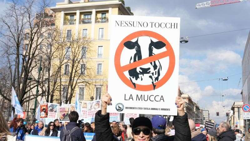 “Carcere per chi uccide o maltratta gli animali”. In 300 al corteo organizzato da Michela Vittoria Brambilla chiedono di inasprire le pene