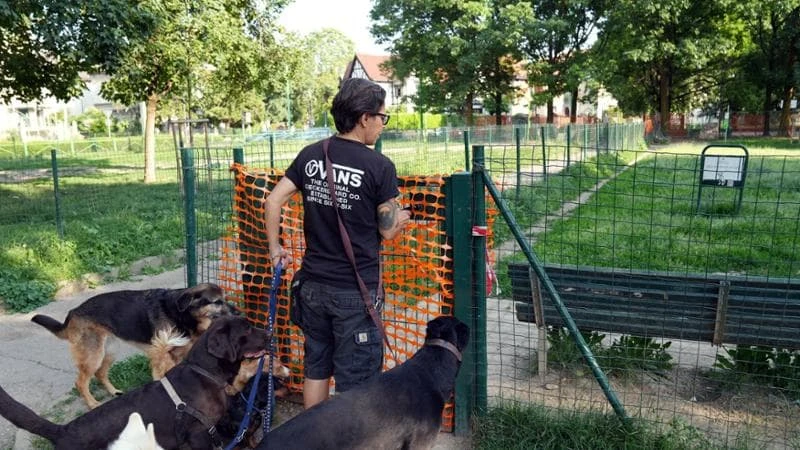 Inciampa nell'area cani, cade e fa causa al Comune. Che risponde: 