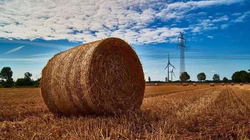 Tragedia in azienda agricola a Vimercate: schiacciato da una balla di fieno da 800 kg, muore a 67 anni