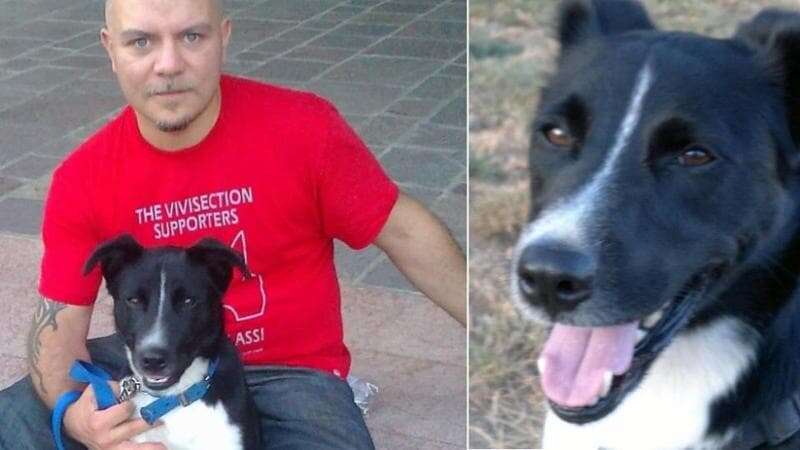 L’appello del cuore per Willy: è il cane di Matteo Cornacchia, l’operaio morto sul lavoro nel Bresciano