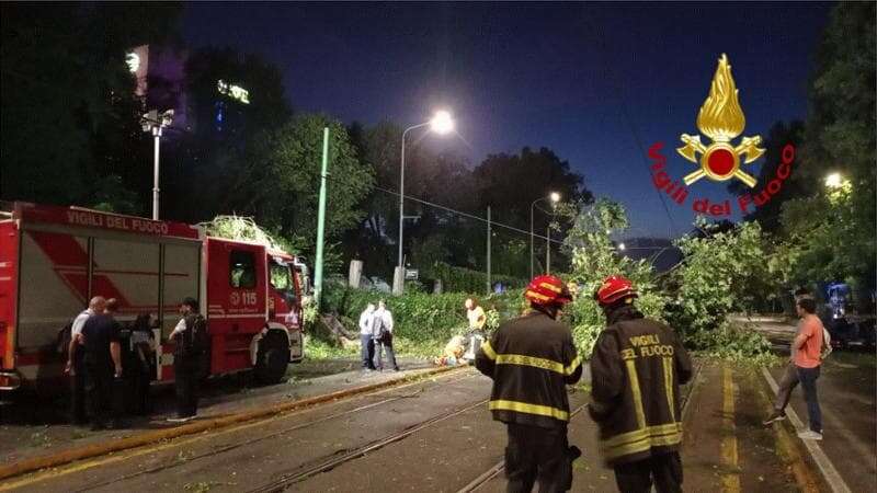 Alberi abbattuti da raffiche di vento: chiuso il cimitero monumentale