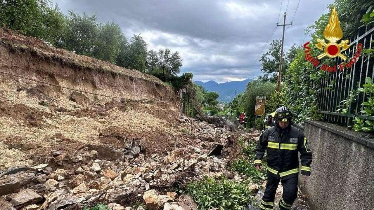 Gli esperti: “La caduta alberi in città causata anche da effetto canyon”. 