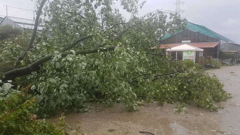 Maltempo a Milano, piogge e vento forte in pochi minuti causano danni: alberi abbattuti, strade allagate e tetti scoperchiati. Chiuso un tratto della M2