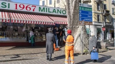 Il 'grande platano di Giannasi' in piazza Buozzi sarà abbattuto: è troppo malato