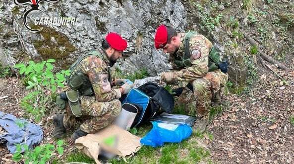 Forza un posto di bocco e scappa, arrestato latitante: 