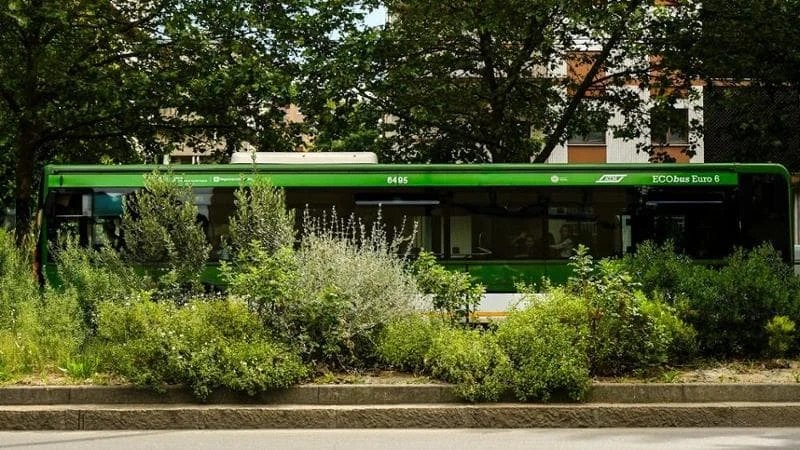 Il biancospino, i balestrucci, l’elicriso: biodiversità urbana nel corridoio ecologico della 90/91