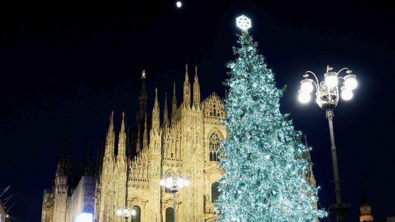 Tradizionali, benefici e interattivi: ecco i 27 alberi di Natale di Milano