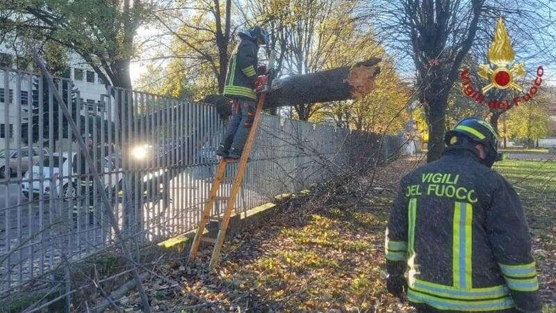 Vento a Milano, si stacca un albero nel cortile della chiesa di via Cittadini