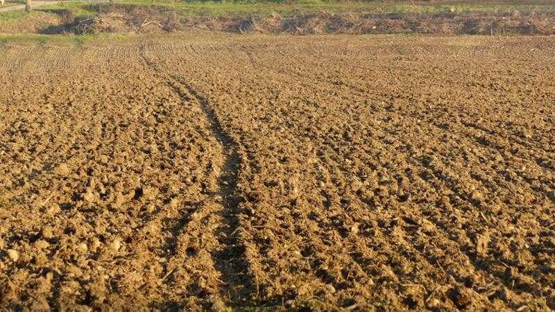 Esalazioni di liquami dai campi agricoli, intossicati 52 lavoratori di un polo logistico bergamasco adiacente: 16 in ospedale