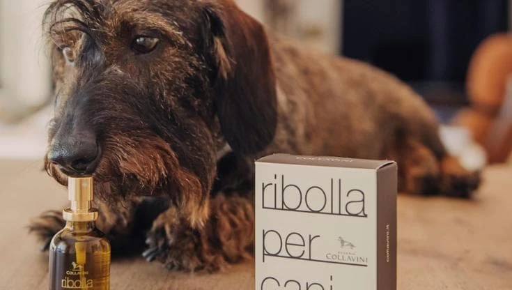 Si chiama Ribolla, ma non è un vino: ecco il profumo d’ambiente pensato per i cani