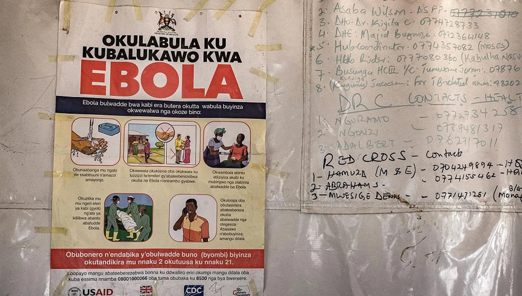 Hanta, Ebola e la lezione dimenticata del Covid: perché il contact tracing resta un tabù