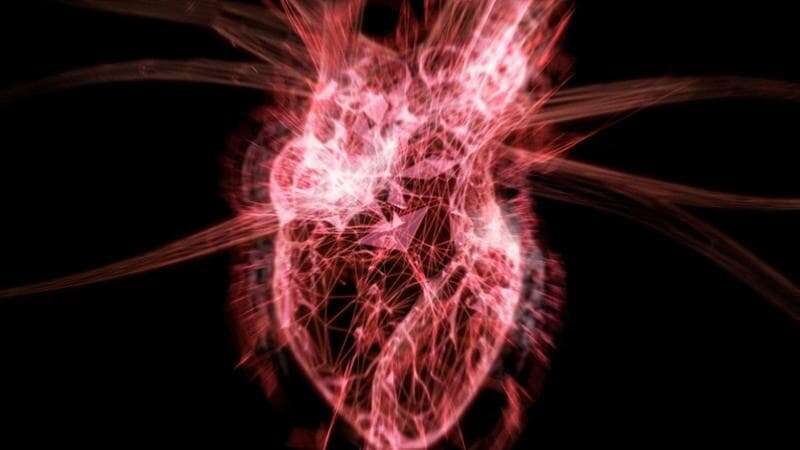 Scoperta la cellula “ingegnere”: fa costruire nuove arterie per ridare sangue al cuore dopo l’infarto