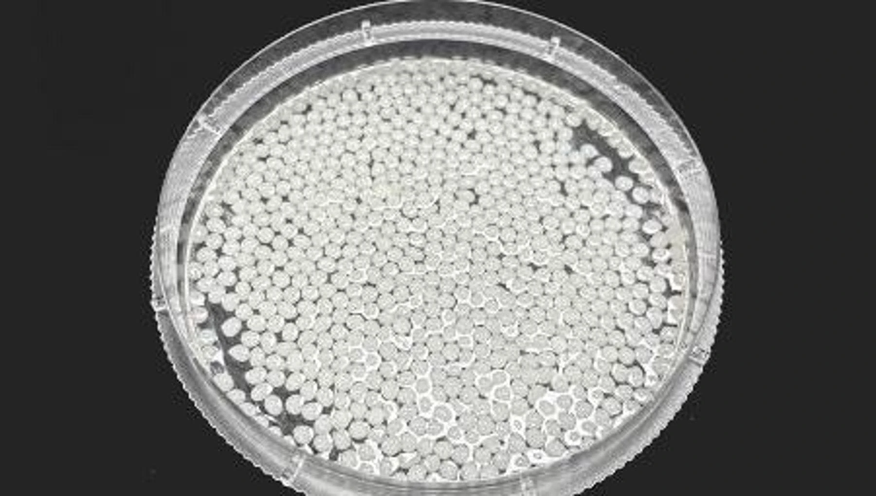 Allo studio micro-perle vegetali che catturano i grassi nell’intestino
