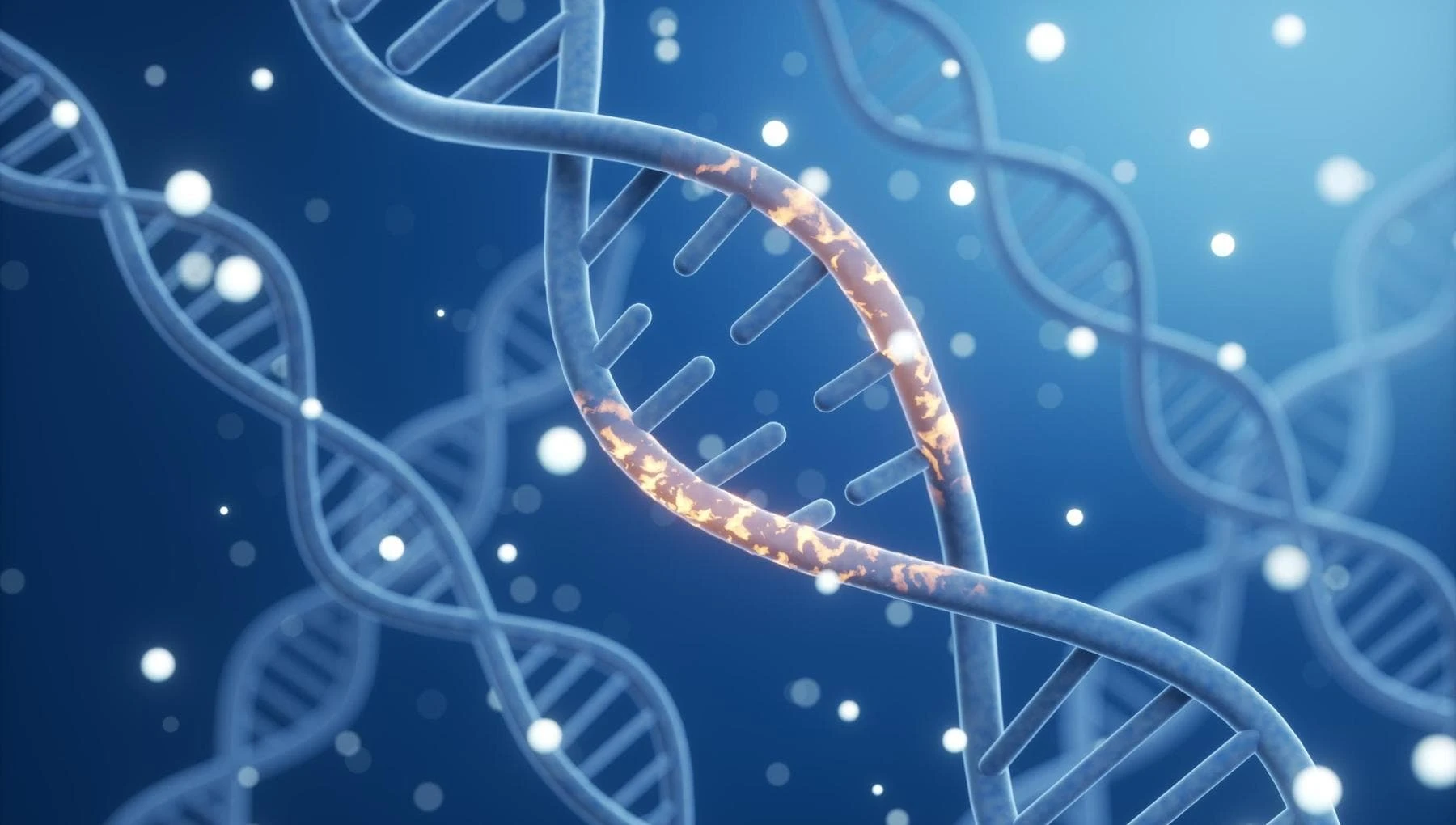 C’è una mutazione genetica che aumenta il rischio di diventare obesi, ma riduce anche il colesterolo