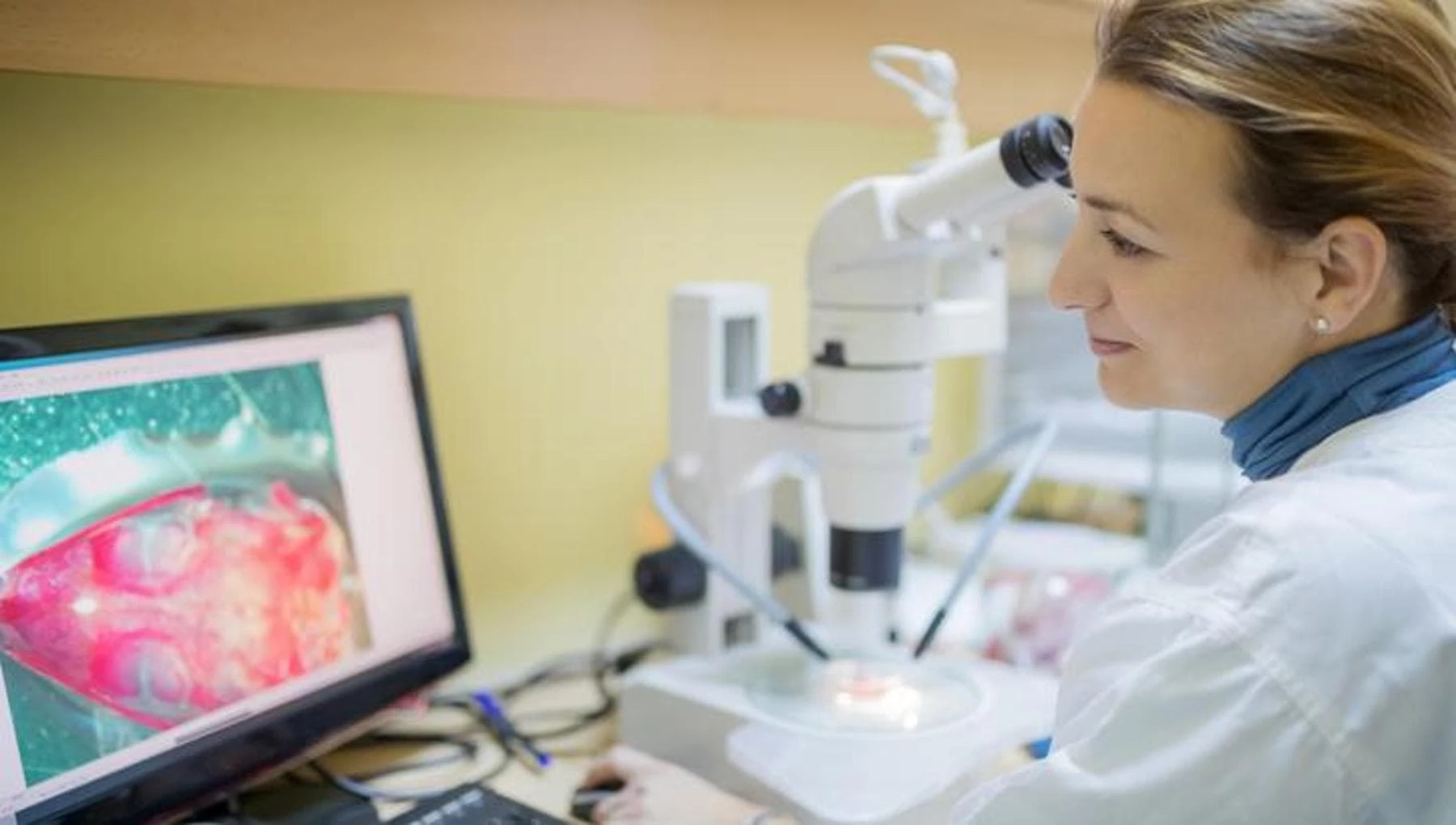 Tumore gastrico: 42.000 vite salvate, ma le cure non sono per tutti