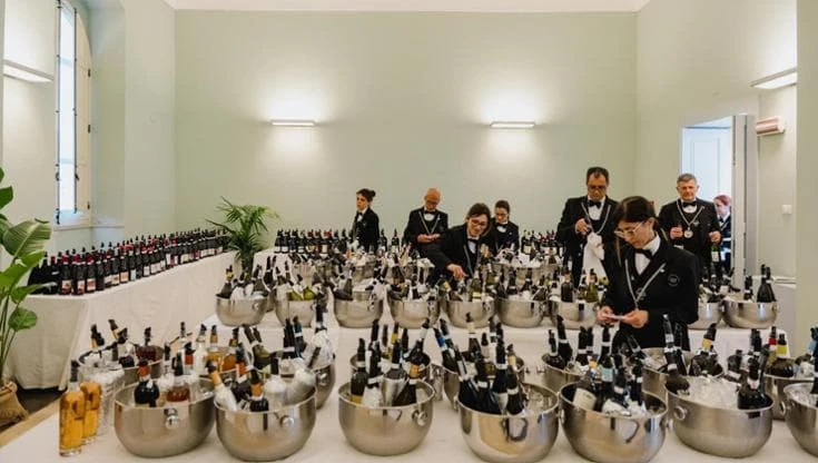 Oltre la vigna: il vino siciliano diventa sistema