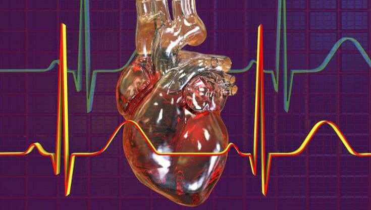 Stenosi aortica, più rischi (forse) se c’è insulino-resistenza, anche prima del diabete