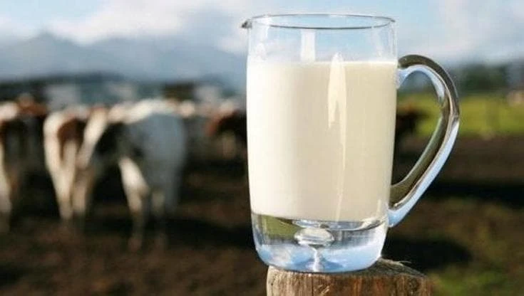 Scadenza errata sulla confezione, latte ritirato dal mercato