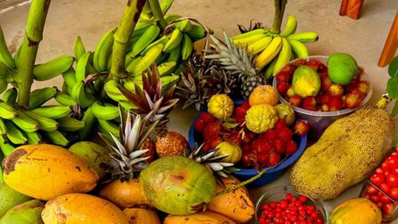 Mango, anacardi e semi di chia nel carrello della spesa più trendy: giro d’affari di 5,6 miliardi
