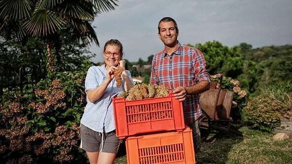 Erbaluce di Caluso, il vino nato dalla lacrima di una ninfa