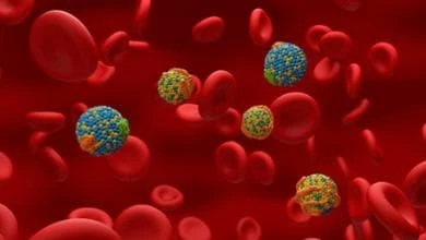 Colesterolo-LDL, troppe particelle ultrapiccole e cresce il rischio di Alzheimer