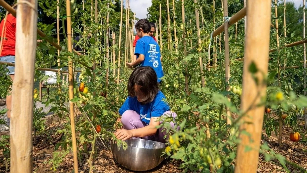 A CasaOz si coltiva l’inclusione: zucchine, pomodori e ortoterapia per bambini fragili