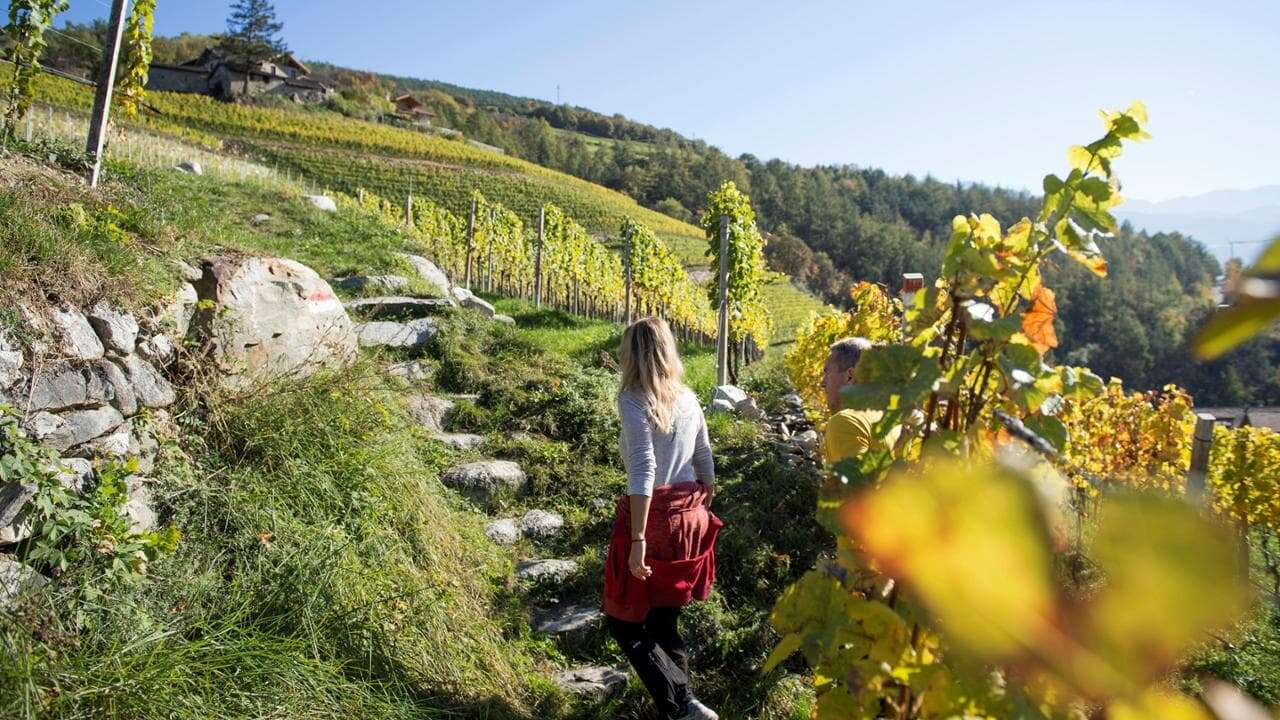 Tra i vigneti dell’Alto Adige per il Törggelen, il rito del cibo che incanta i tedeschi