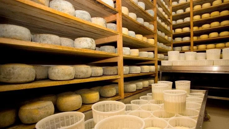 Una giornata per celebrare i formaggi, gusti e sapori che esaltano l’Italia