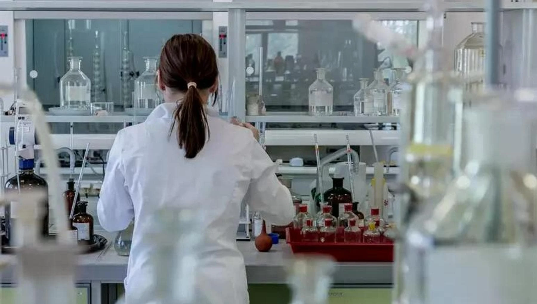 Malattie infettive, l’Ecdc segnala aumento dei casi di Shigella resistente in Europa